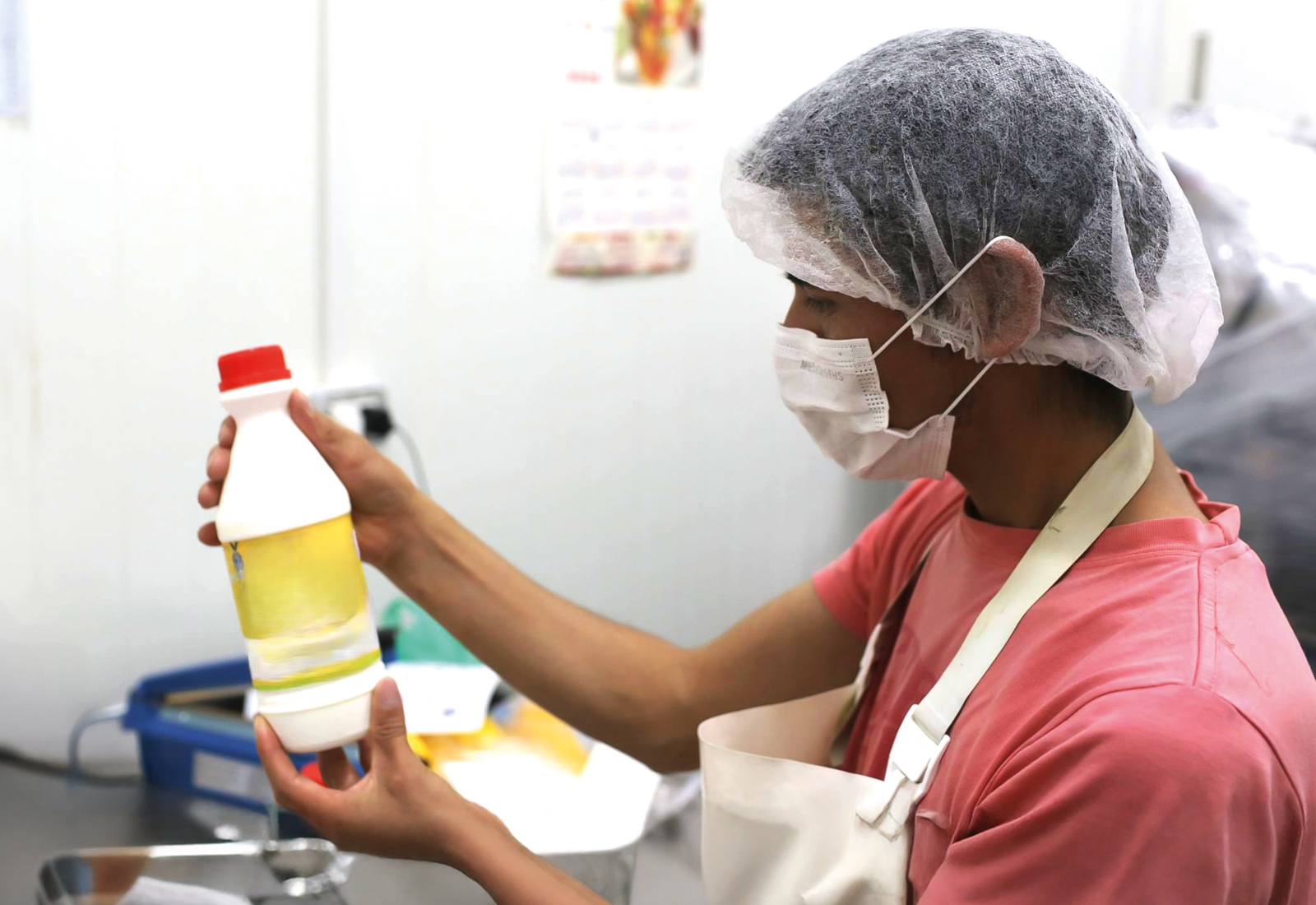 Protección del camarón en el valle de Majes